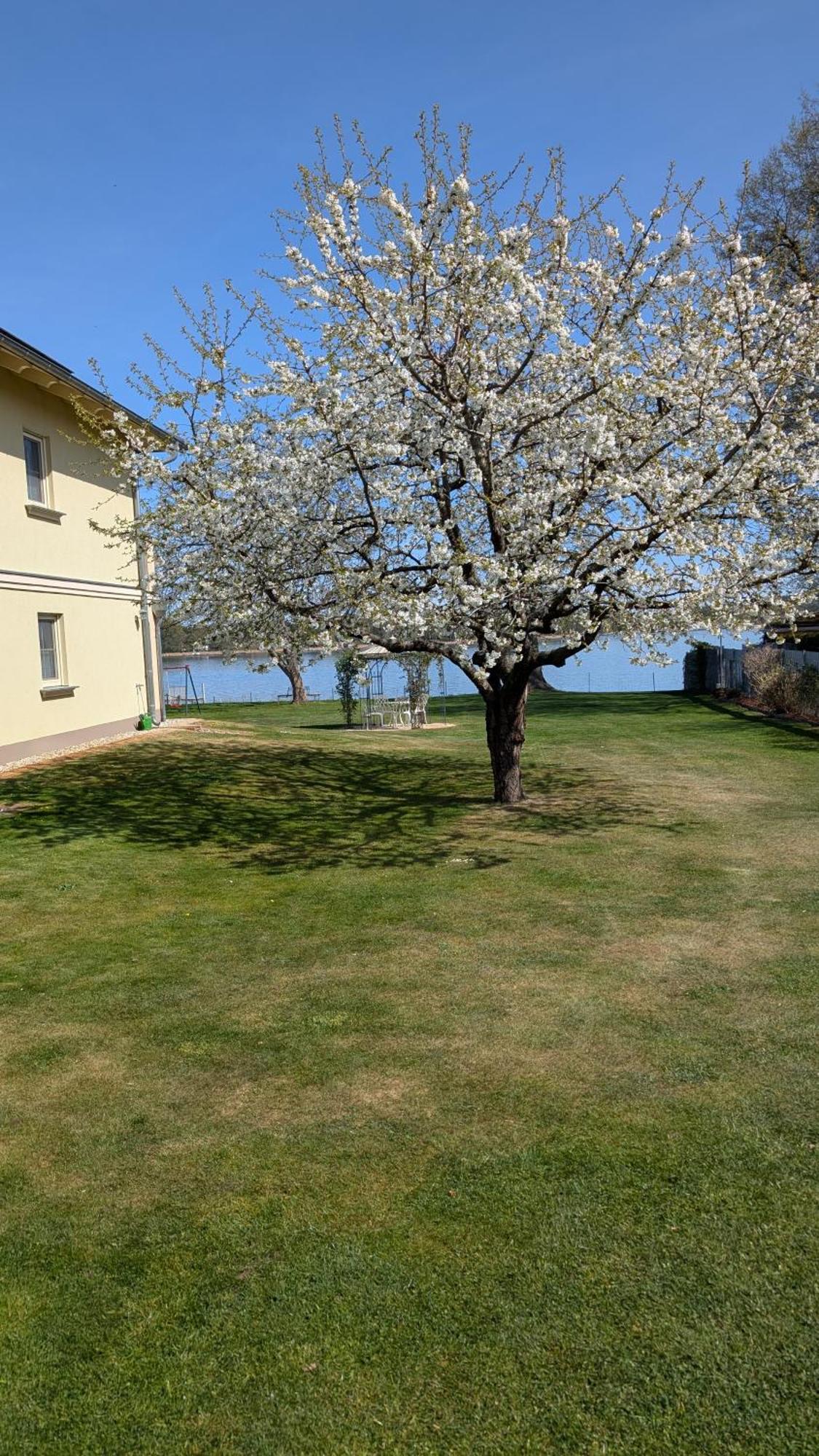 Casa Sul Lago Werder  Bagian luar foto